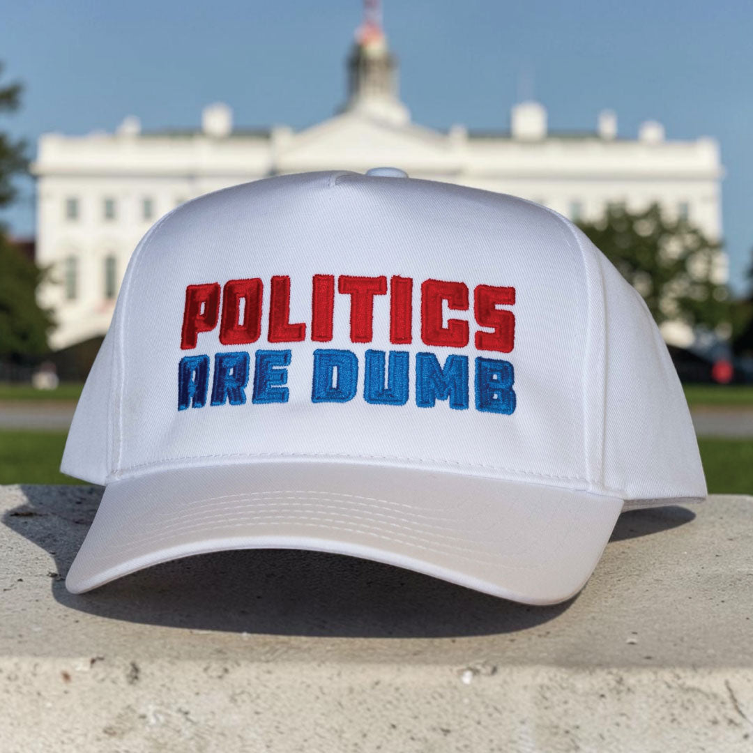 Politics Are Dumb