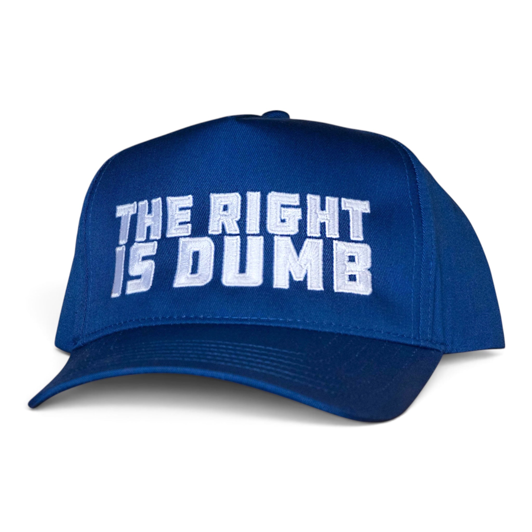 The Right is Dumb